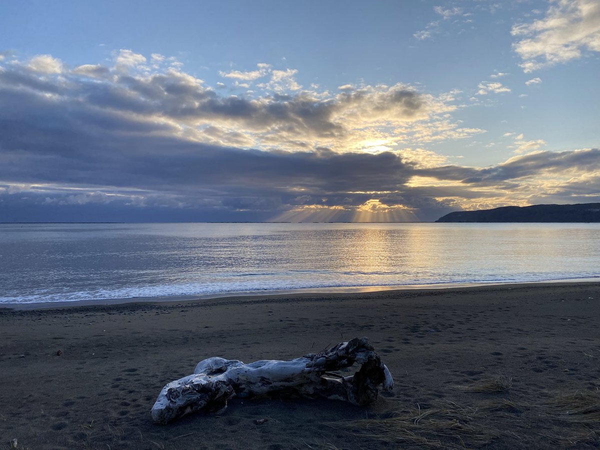 Nishibori MiZoo tweet media