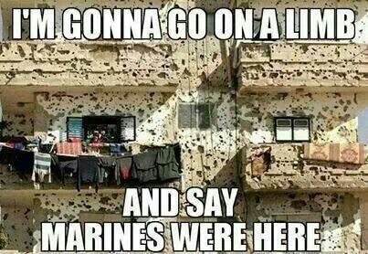 🇺🇸 Jingo 🇺🇸 tweet media