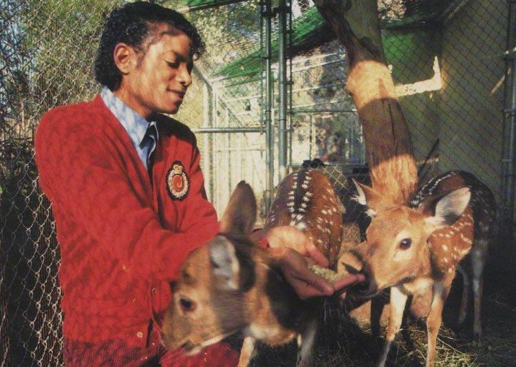 Kae🎤🪩 (MJ era!) tweet media