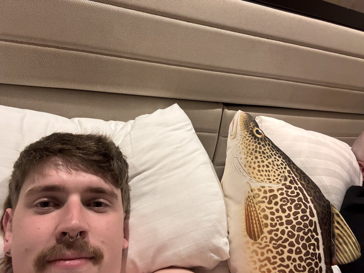 Above average rat tweet media