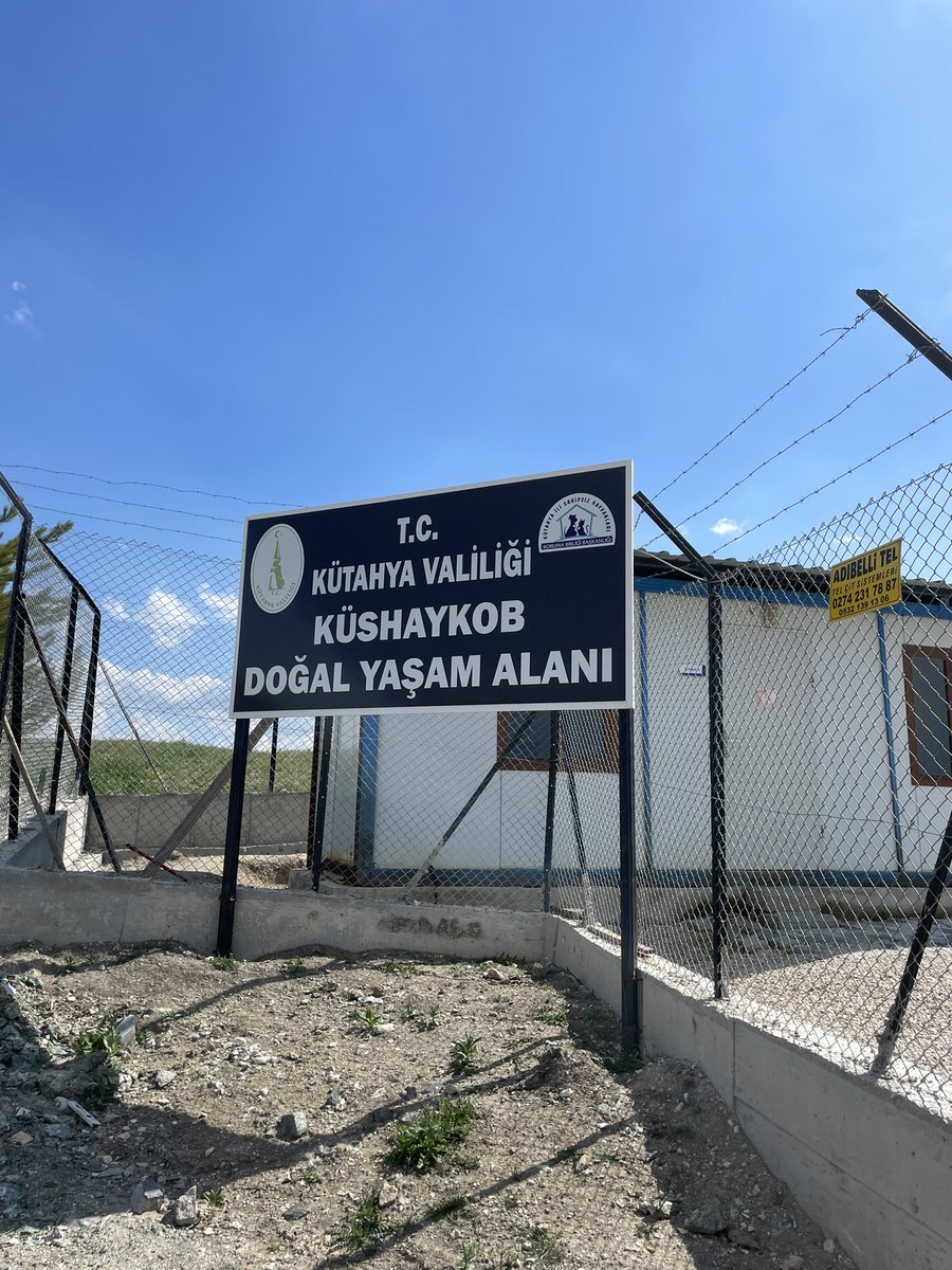 Dodo Der tweet media