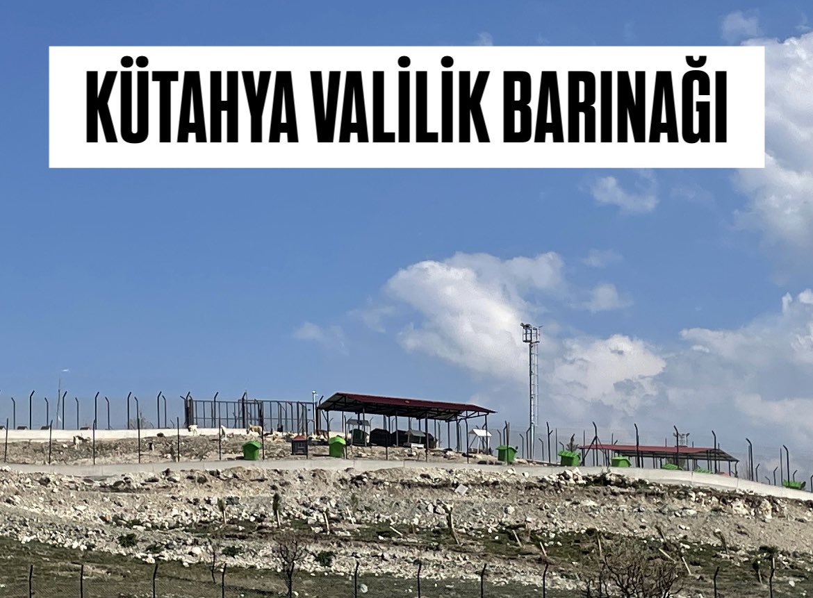 Dodo Der tweet media