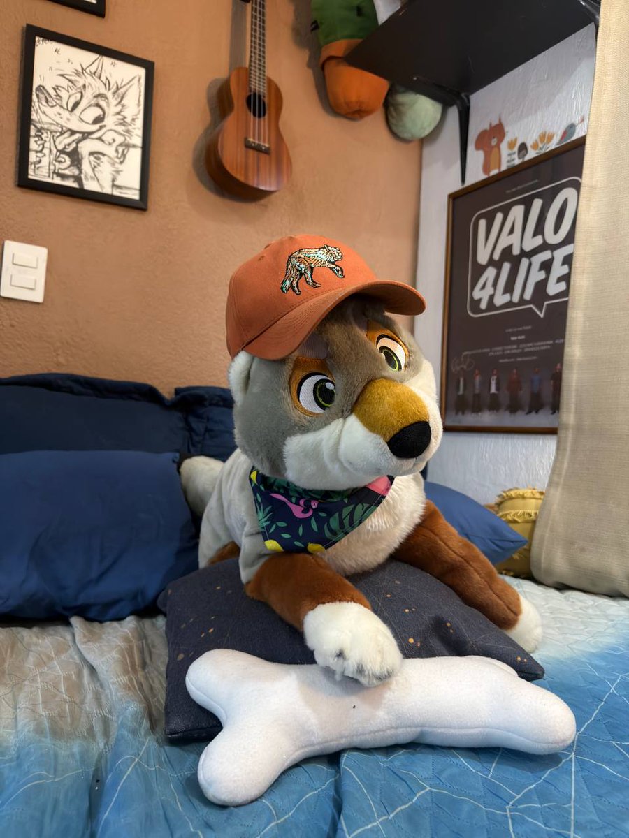 KoidelCoyote 💫 FWA AC MP tweet media