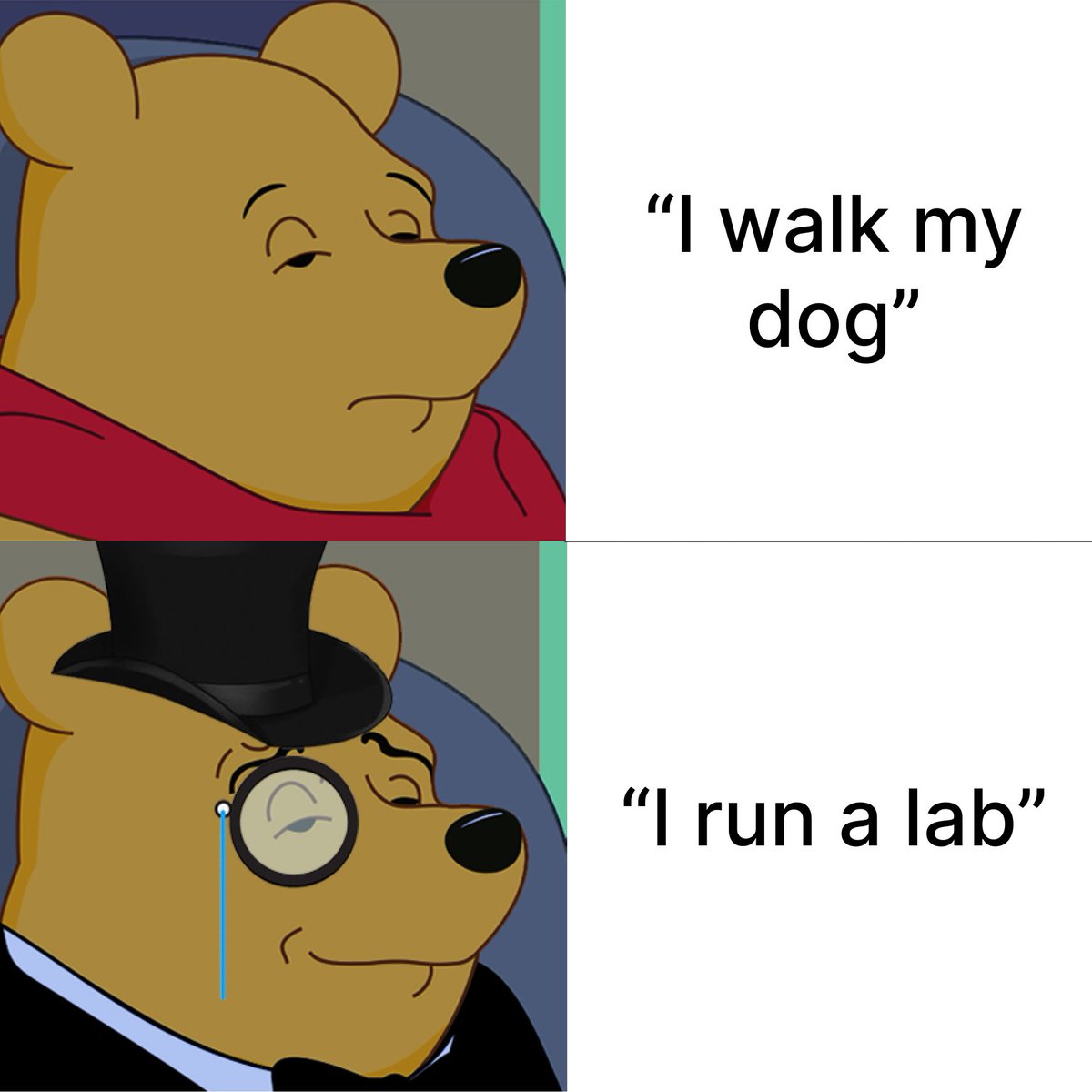 tweet davidson tweet media