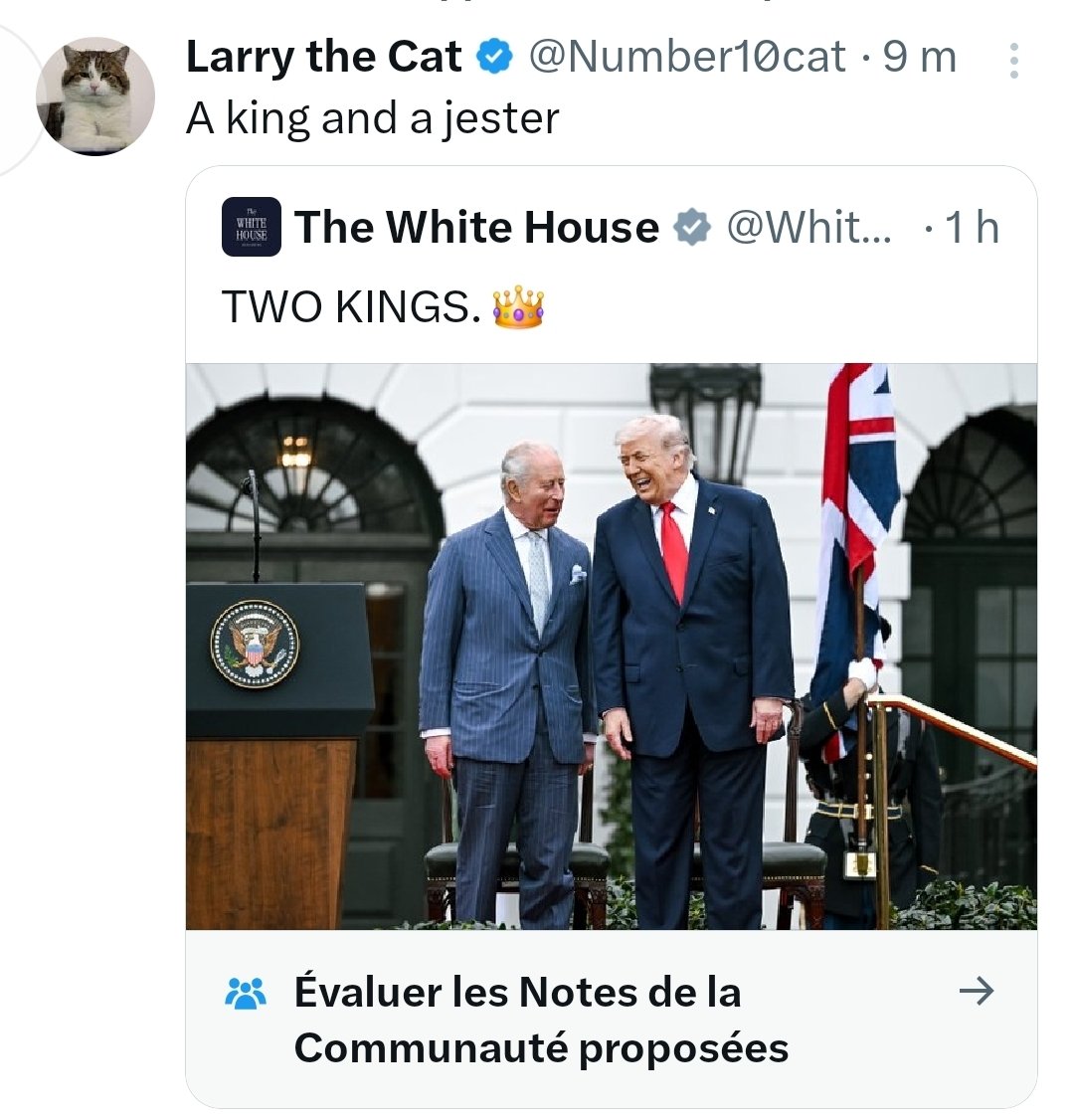 TheKingOfNowhere 👑 tweet media