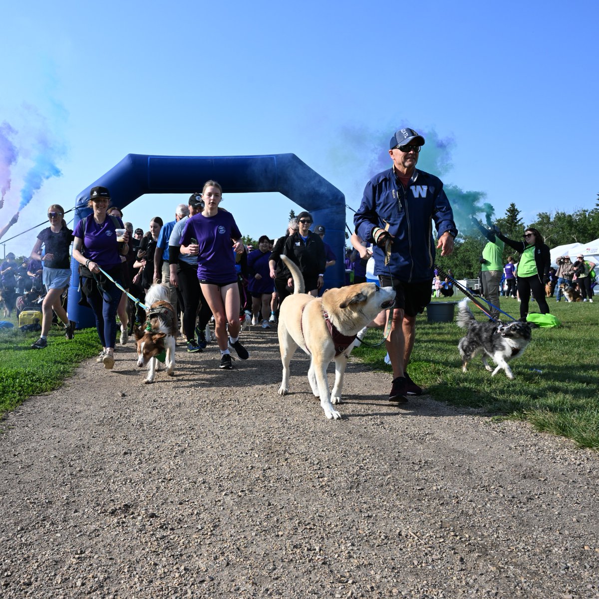 Edmonton Humane Society tweet media