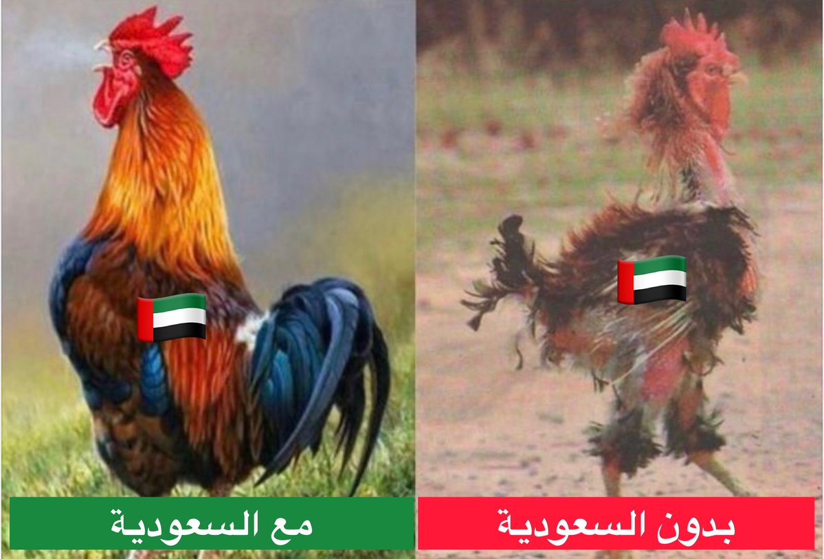 | abu Salman ♦️🇸🇦🇶🇦 tweet media