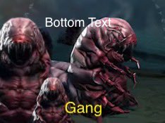 Blood Maggot Host tweet media