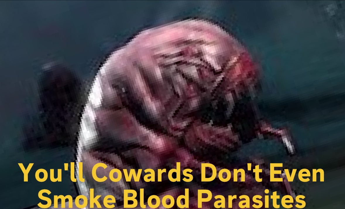 Blood Maggot Host tweet media