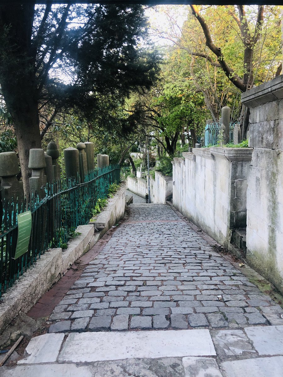 fatraca's tweet photo. “Rabbim Sana gelecek, Senin yoluna geleceğim tüm yolların bu dünyadan geçtiğini öğret. öğrettiklerinle amel ettir. amel ettirdiklerini dergâh-ı izzetinde kabûl eyle…”

amin 🌹 https://t.co/8mkz1XUYxz