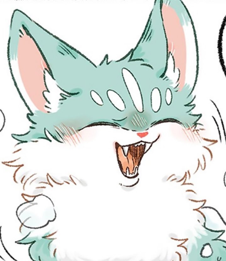 Maomaolei tweet media