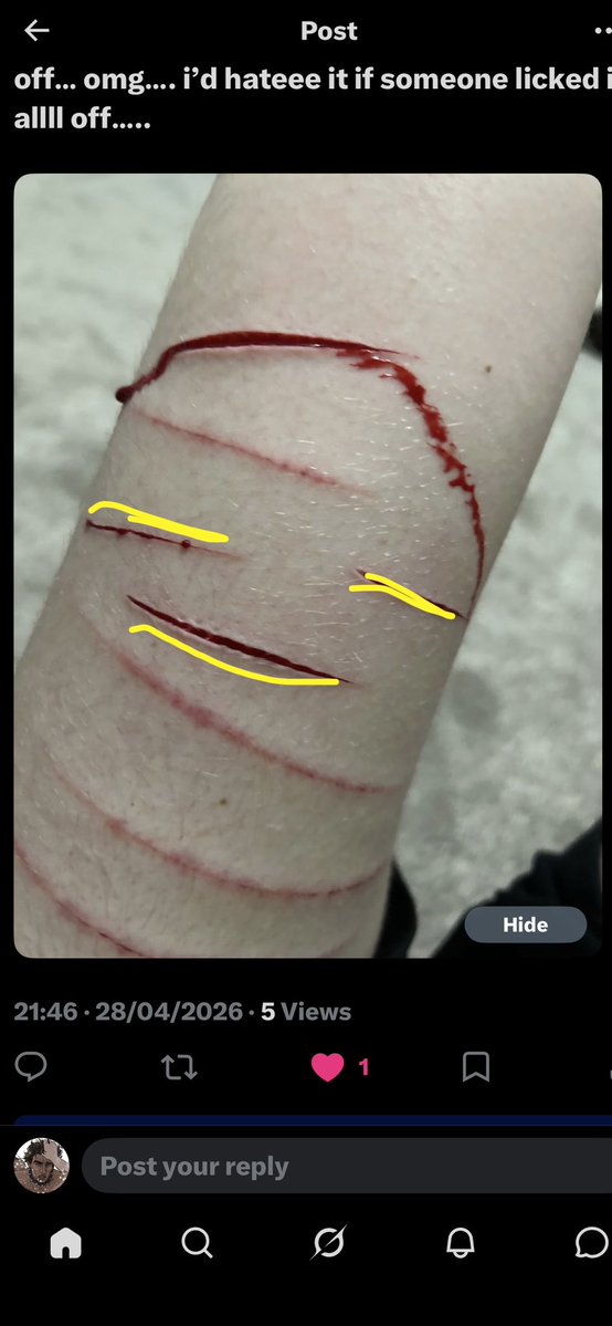 iris (˶˃ ᵕ ˂˶) ⋆. 𐙚 ˚ tweet media