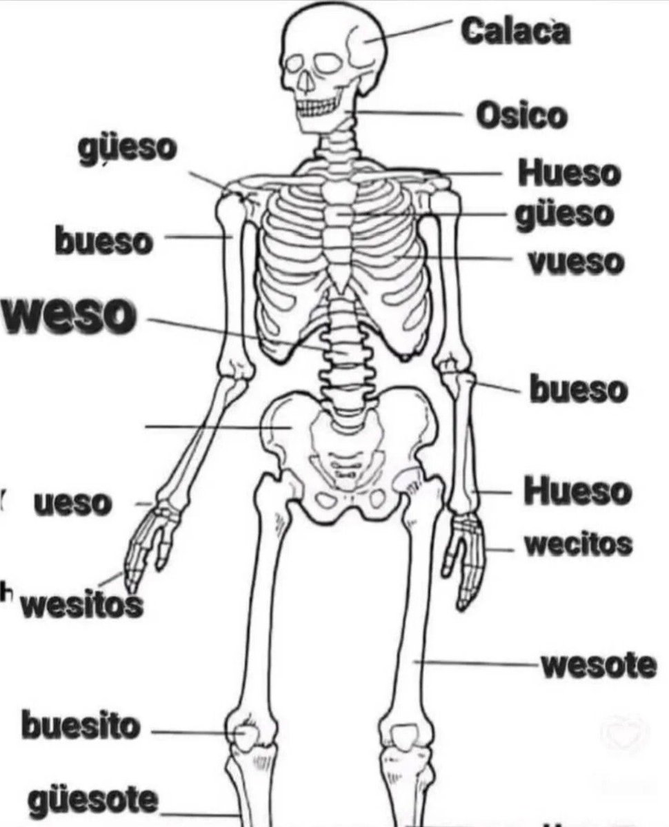 BFrog (@bfrog__) on Twitter photo 