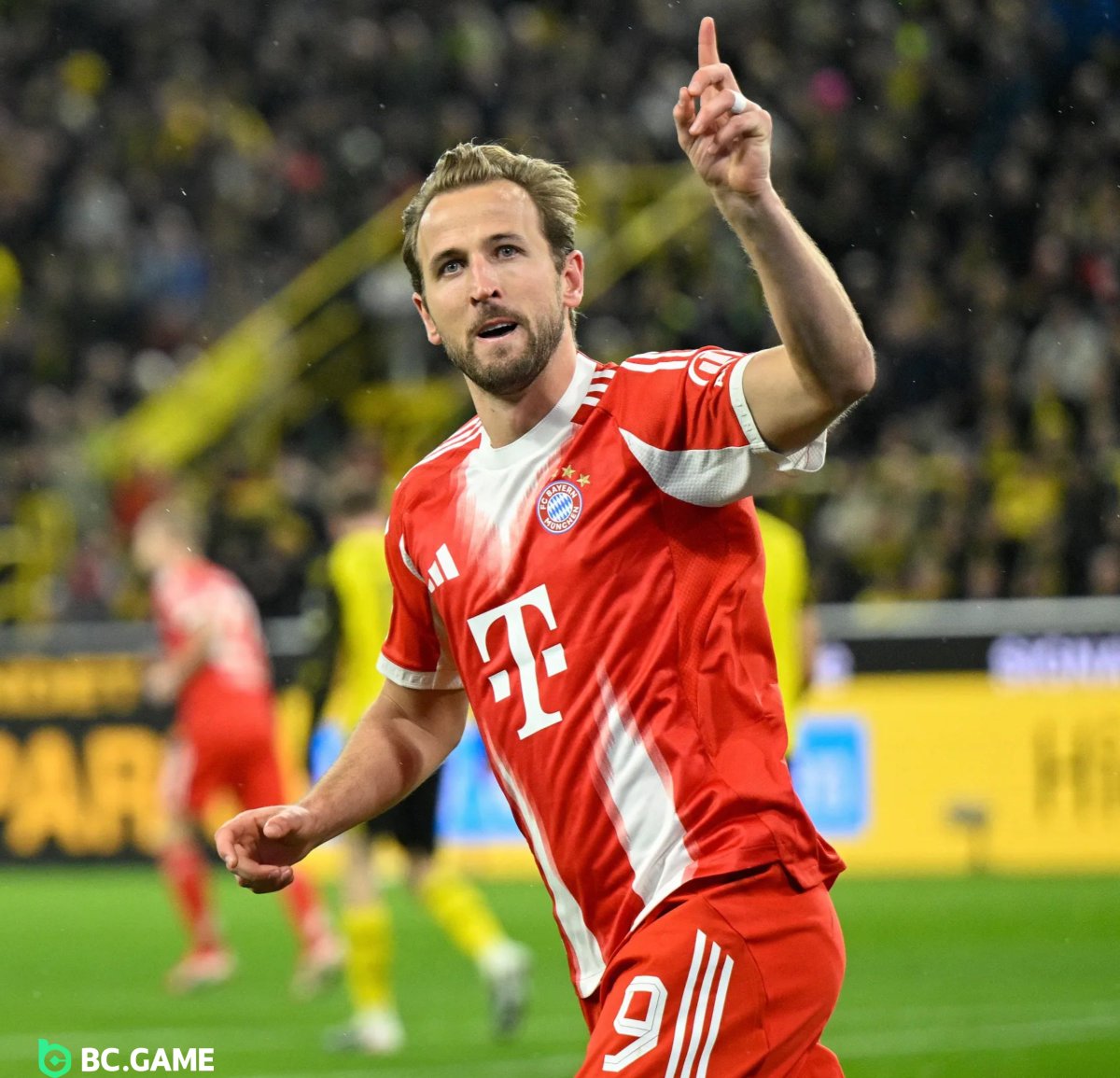 Berneese tweet media