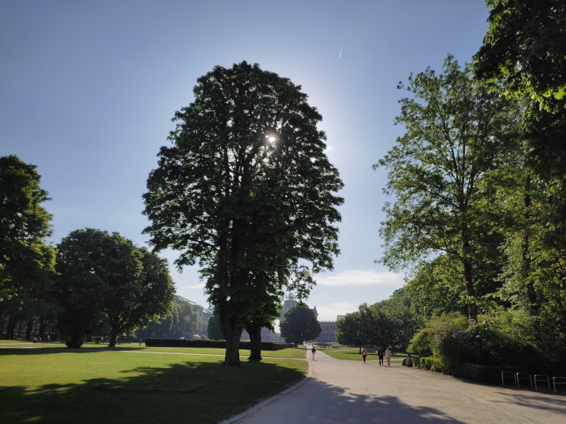 neocyclopi's tweet image. Usual Morning @The_Life_Bomb🌱 #Walk
⚡️45 Energies #M2E🚶🏃
🪙 Daily Earnings: 513.62 $CATKN
✅ Guardian Bonus Enabled
🚶 &amp;gt; 7km for #SeasonPass Weekly Challenge
#FlyWithUs🐝 #Play2Earn