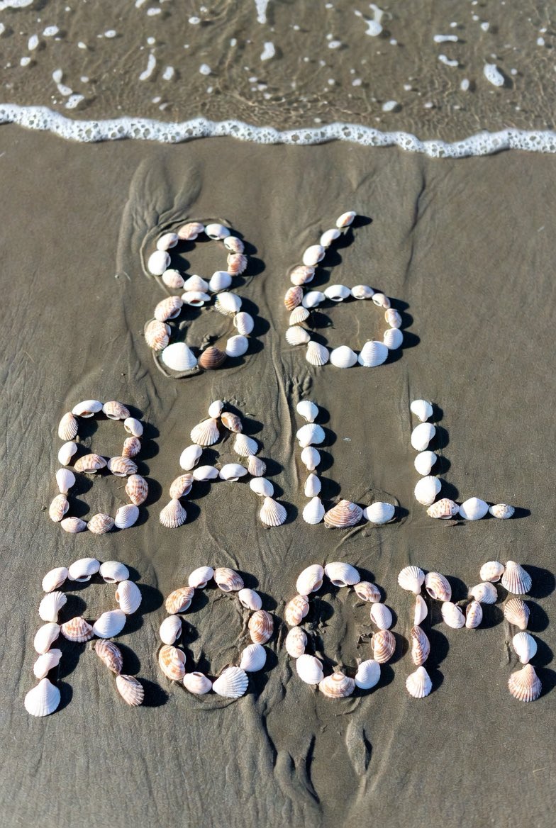 Political Punk tweet media