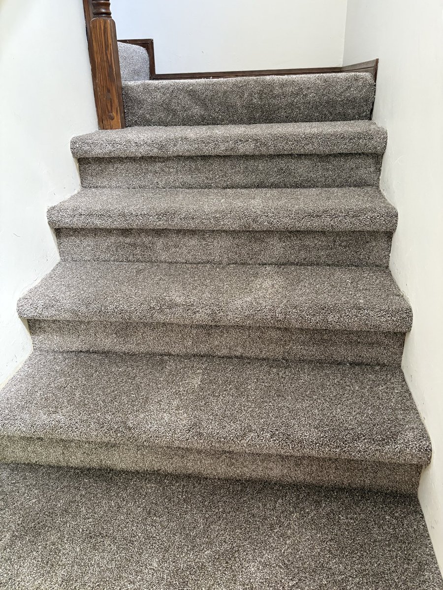 NewHorizonCarpt's tweet image. #carpet #flooring