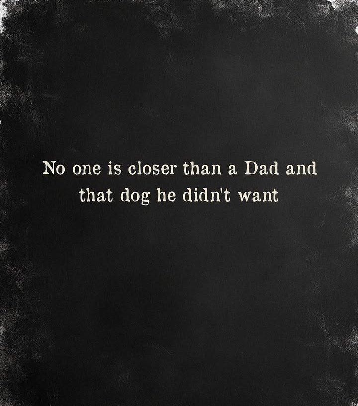 PoemGuide tweet picture
