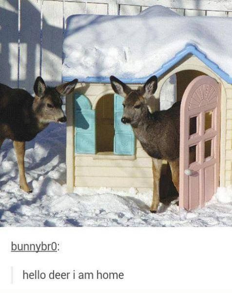 John fawn tweet media