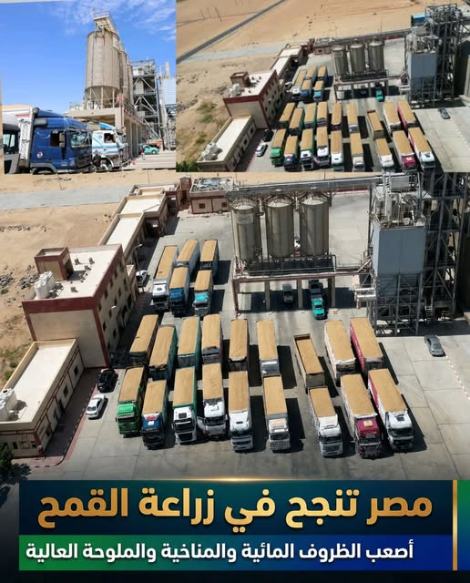 Engineer.Dalal tweet media