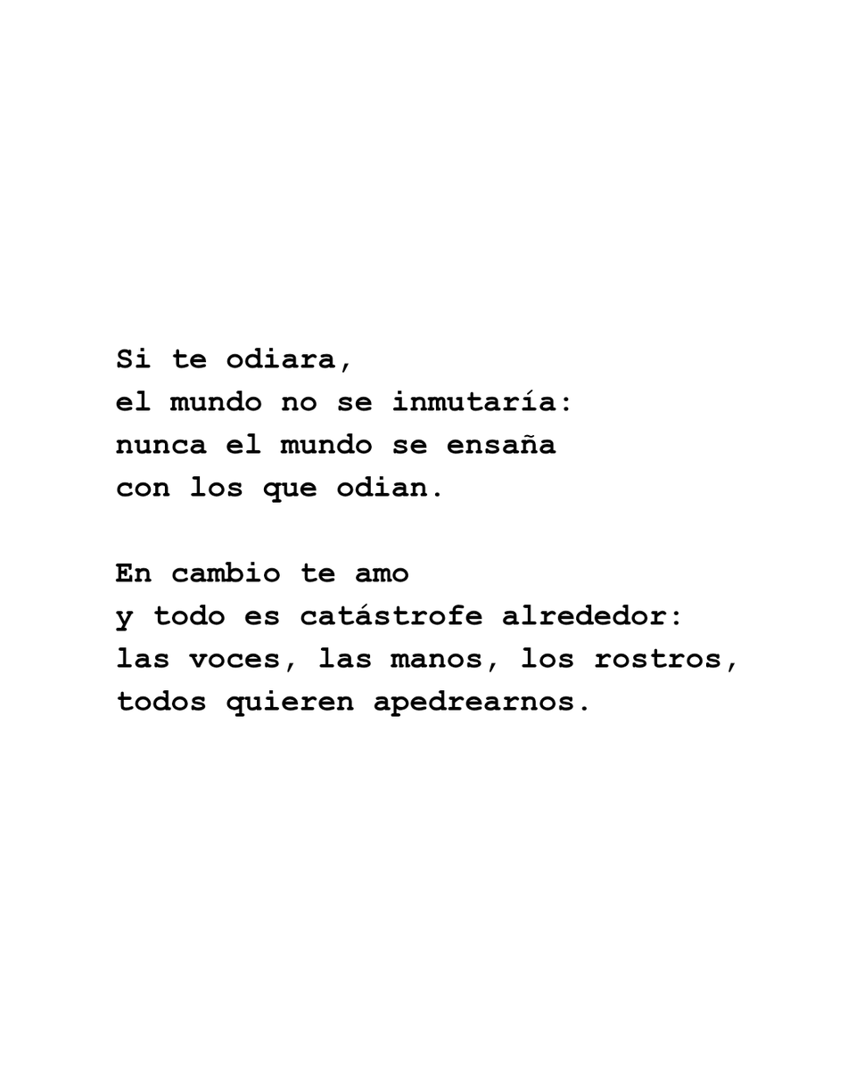 LeonQueEscribe's tweet photo. Susana Thénon https://t.co/xqcul0vhst