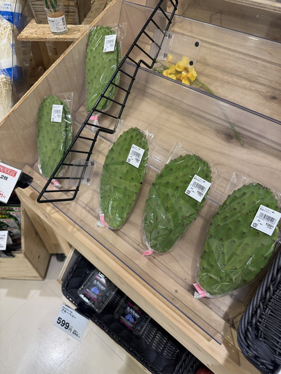 IFGarciaC's tweet photo. @learning_yohei @learning_yohei If you want to try them, you can find them in Tokyo. At least that is where I have seen them on my last trip there. https://t.co/SPXCCzOoC5