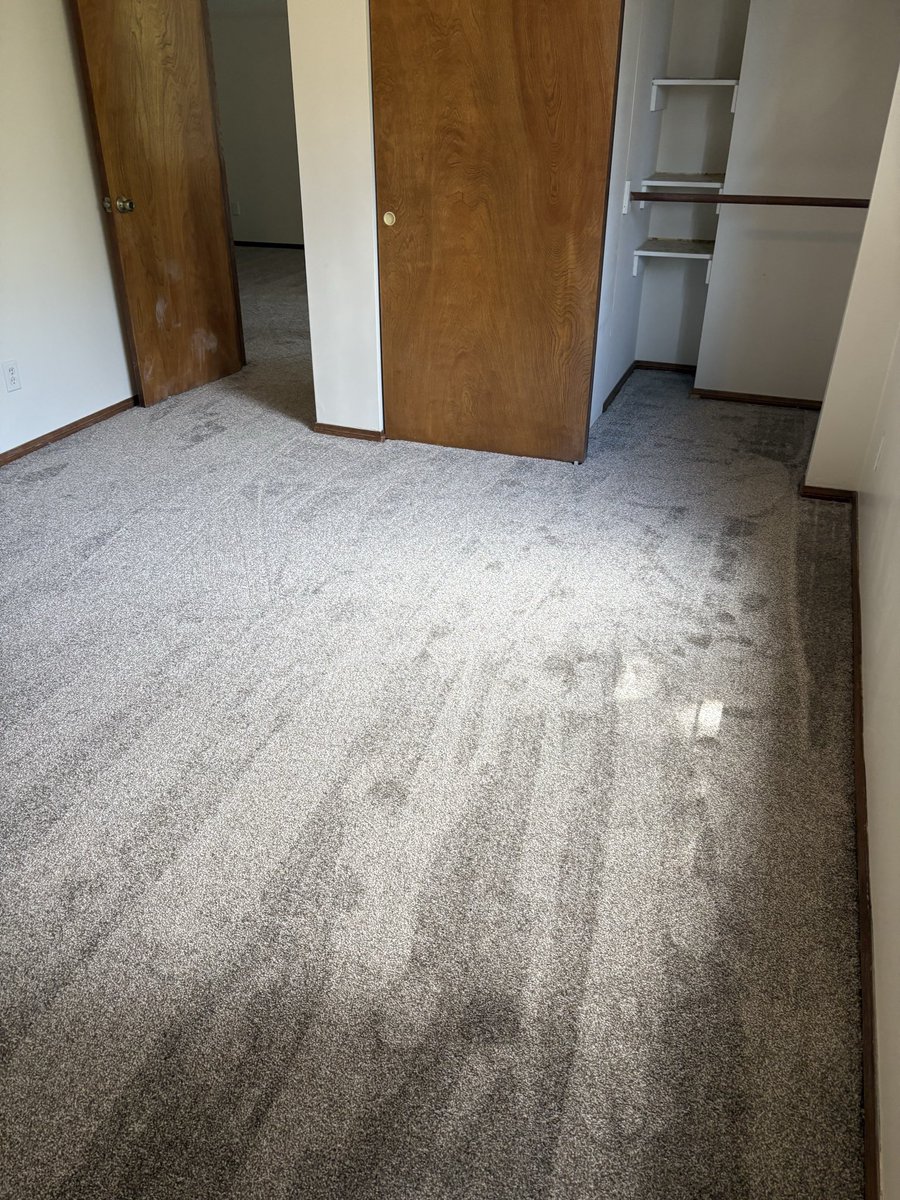 NewHorizonCarpt's tweet image. #carpet #flooring