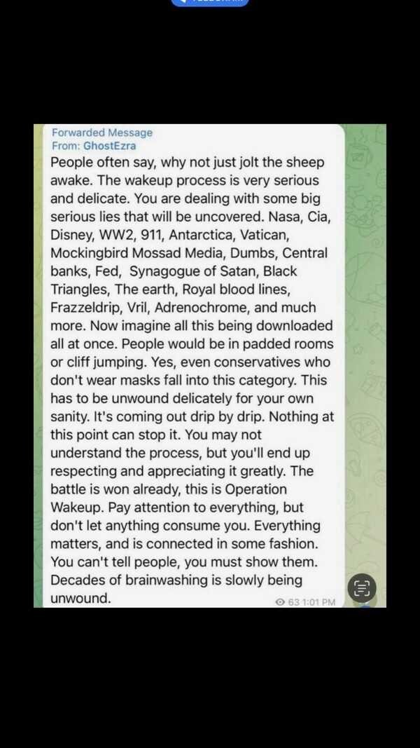 ULTRA MAGA SchnitzelChick tweet media