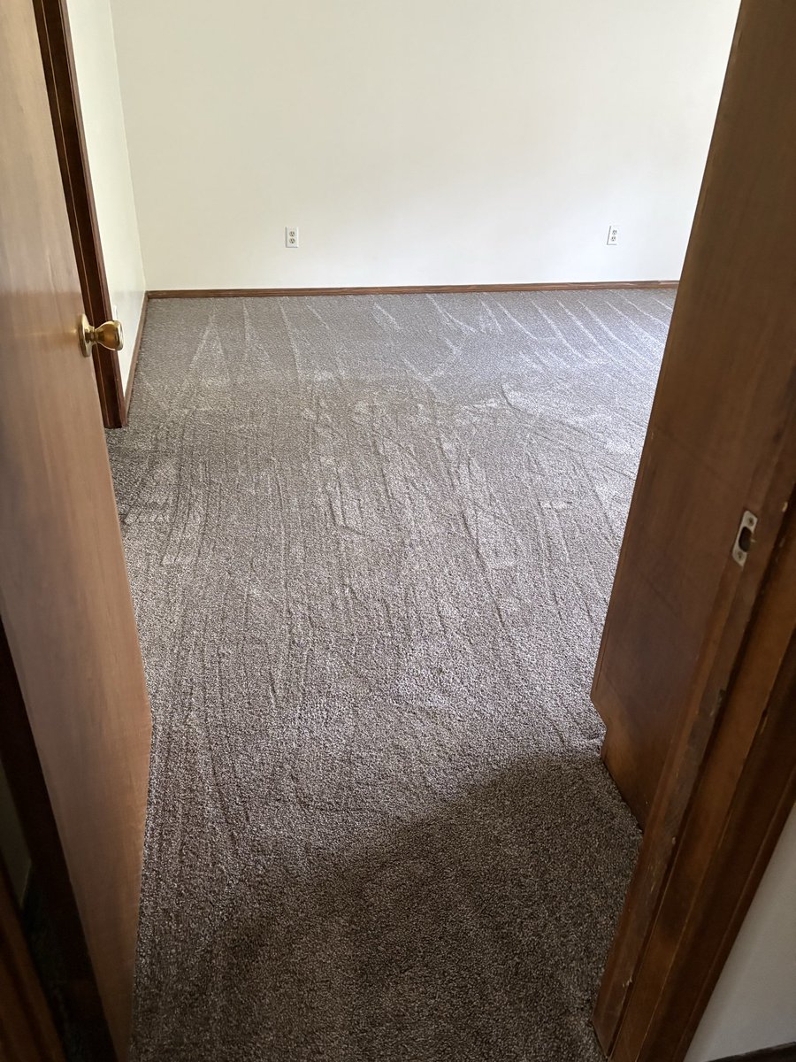 NewHorizonCarpt's tweet image. #carpet #flooring