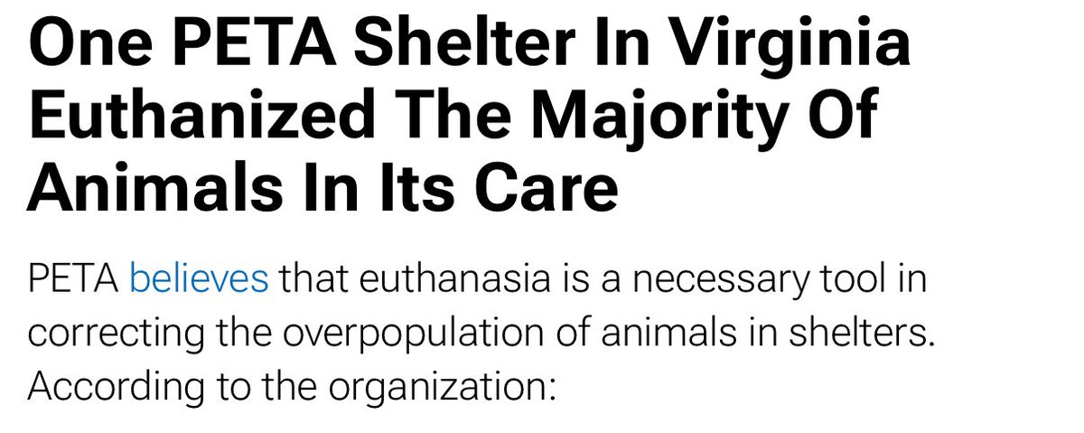 WOR$T GIRL IN AMERICA tweet media