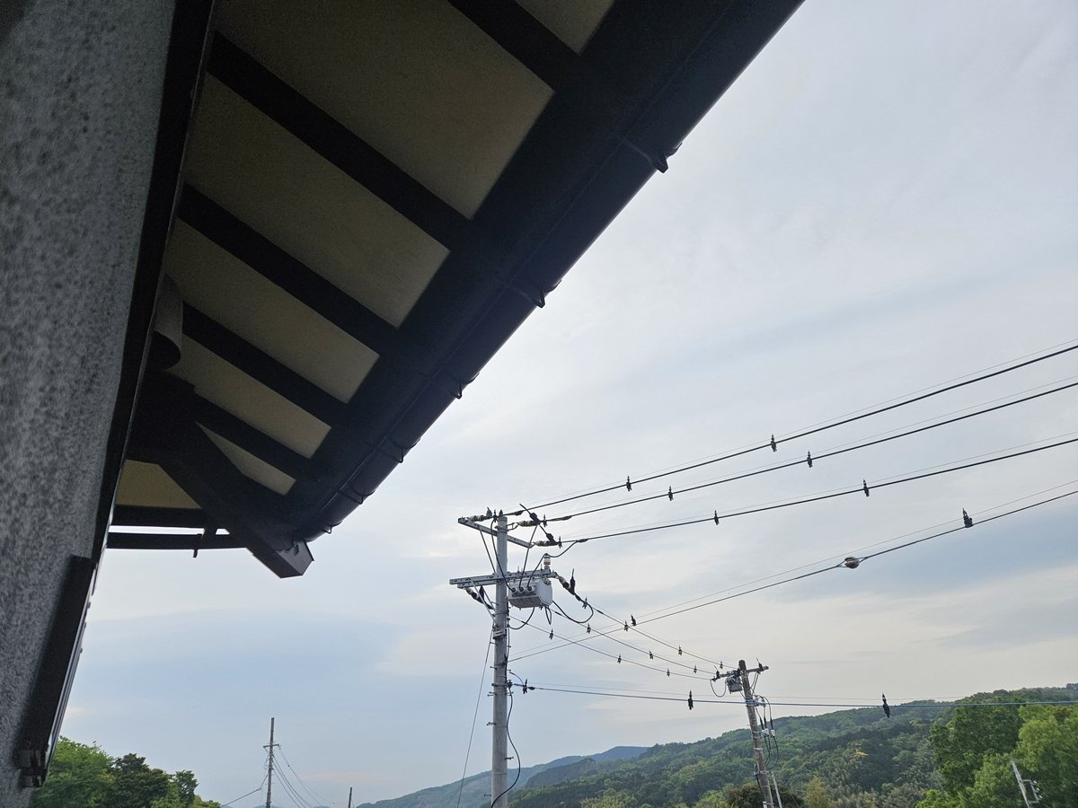 いずのすけ🚴 tweet media