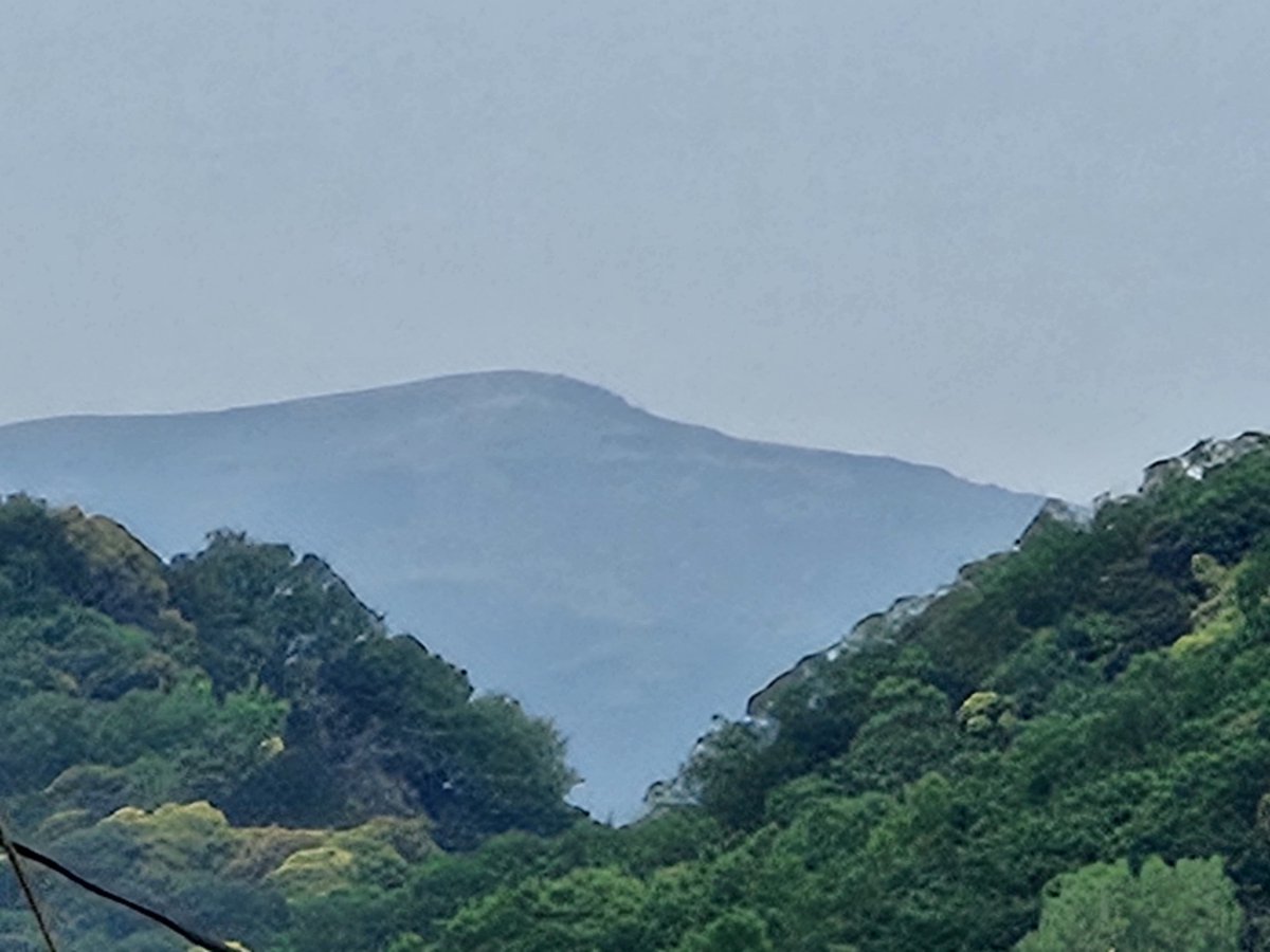 いずのすけ🚴 tweet media