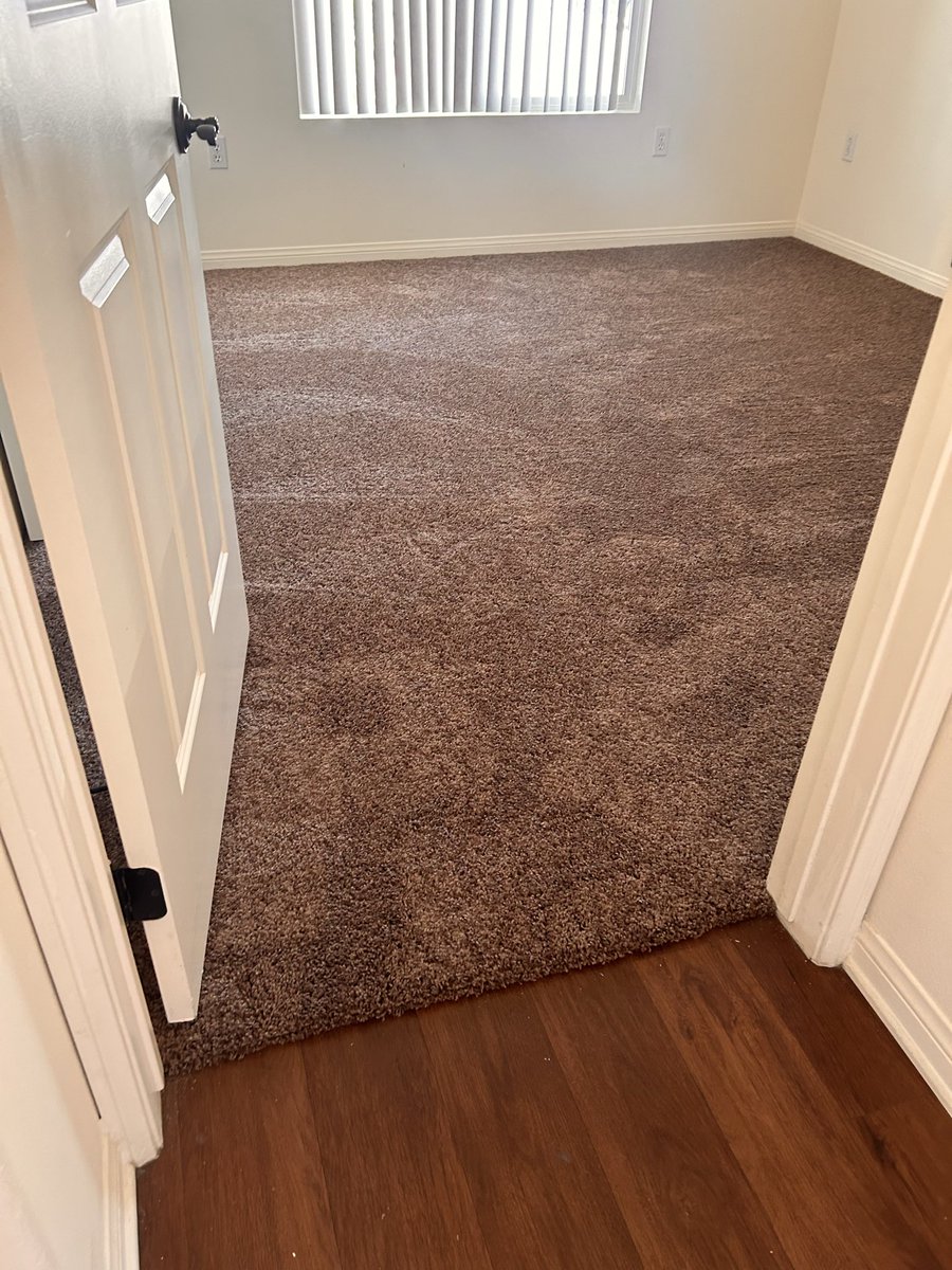 NewHorizonCarpt's tweet image. #carpet