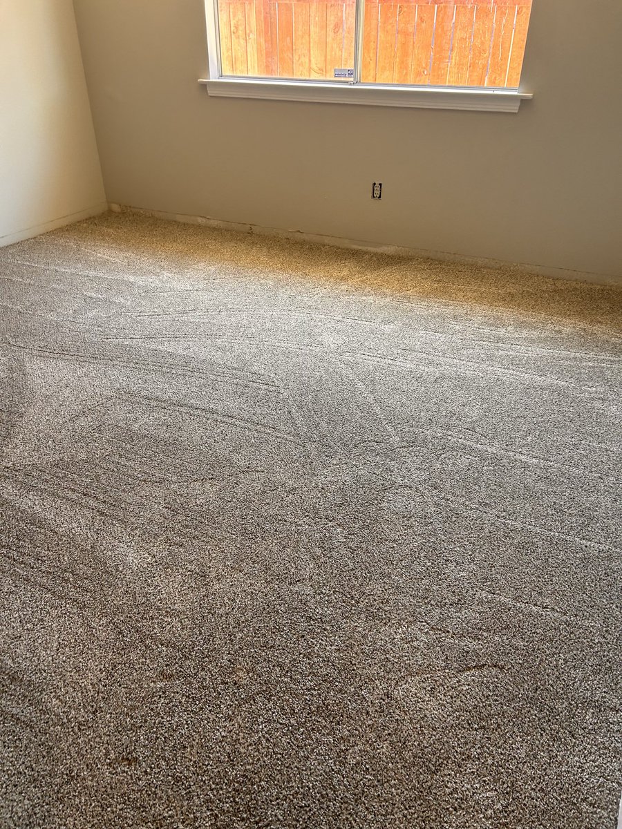 NewHorizonCarpt's tweet image. #carpet #flooring