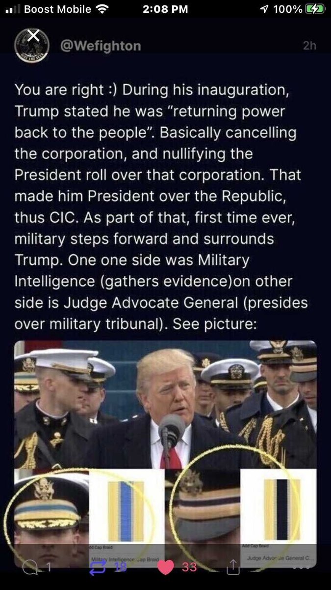 ULTRA MAGA SchnitzelChick tweet media