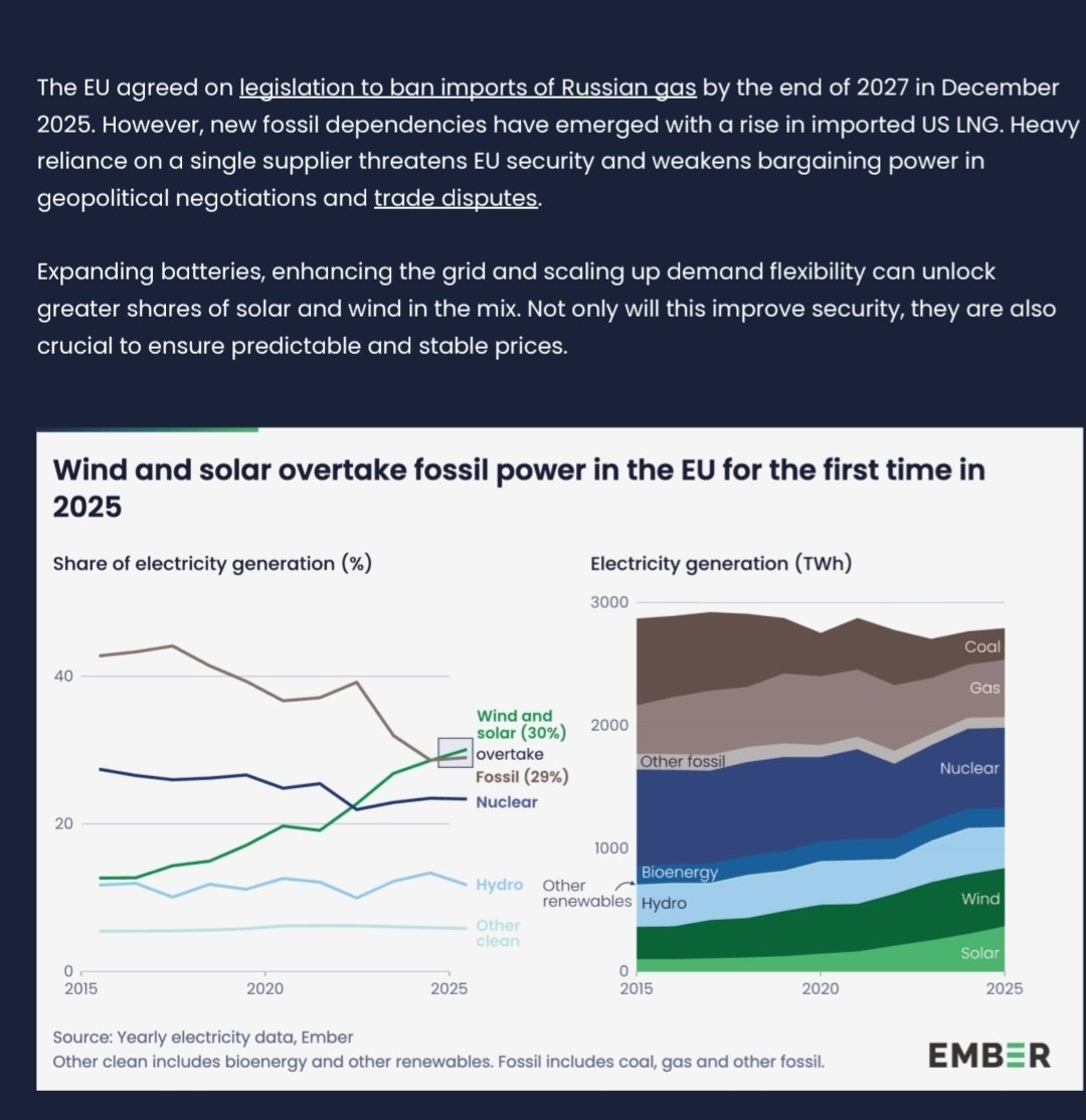 León ⎊ CT9908 🐂🚲💾 tweet media