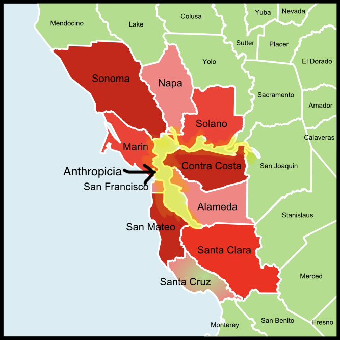 cato 😾 tweet media