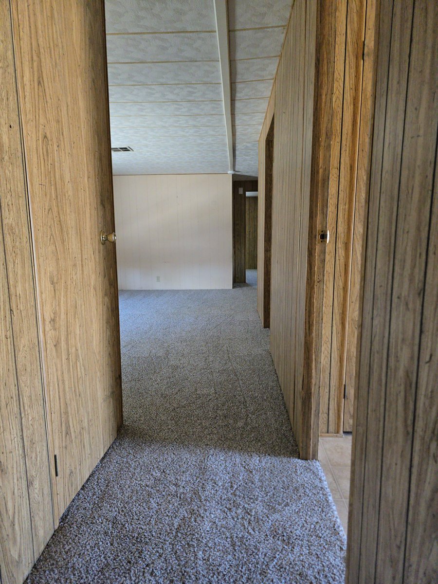 NewHorizonCarpt's tweet image. #carpet #vinyl