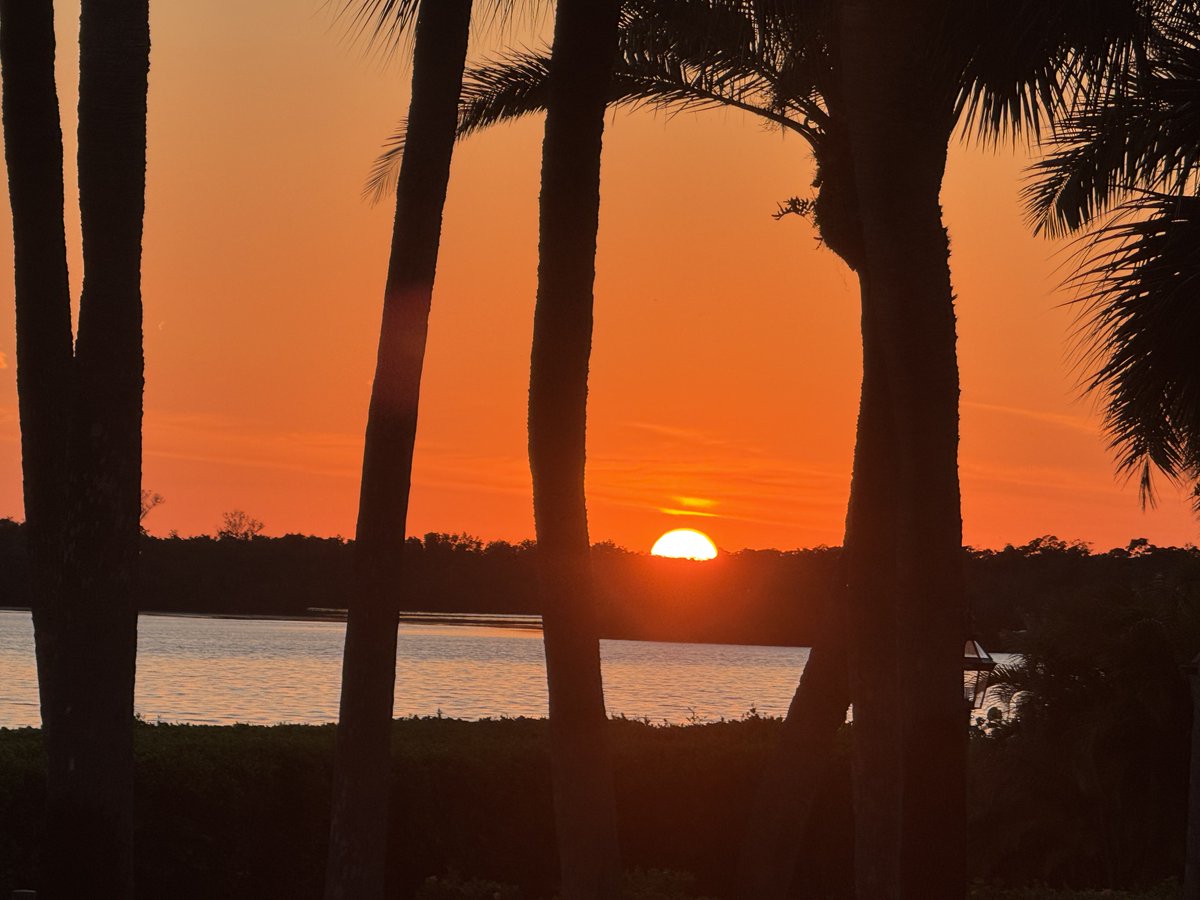 GaryCardone's tweet image. Have an awesome evening folks!
#peace