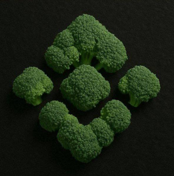 $Broccoli tweet media