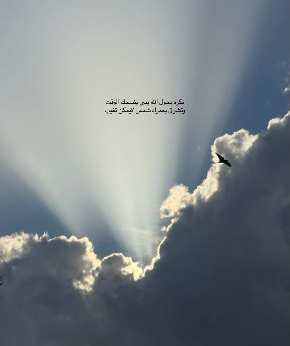 آوتـــار الشمري 🎼📵 tweet media