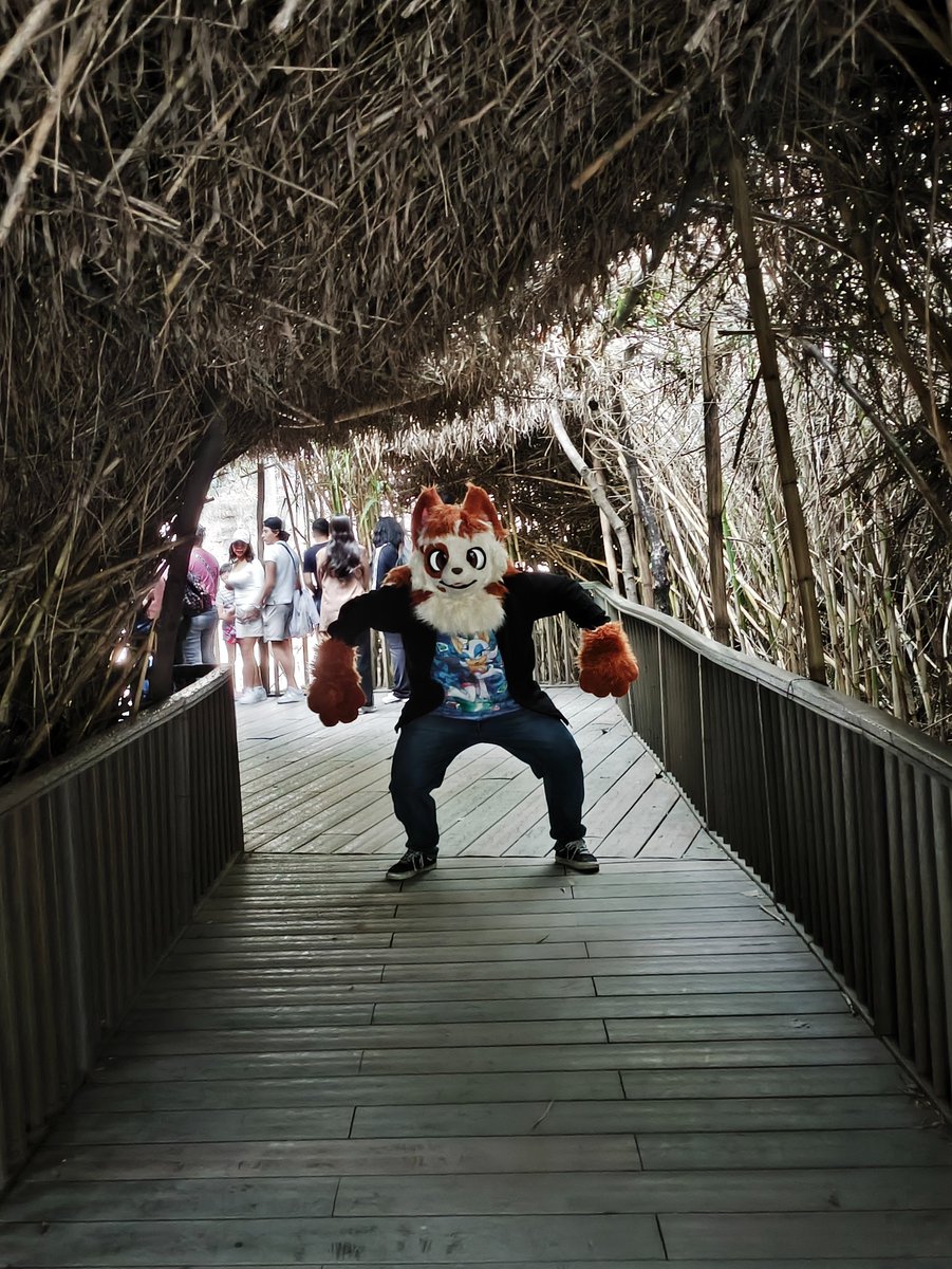 Akubon Furro de Closet tweet media