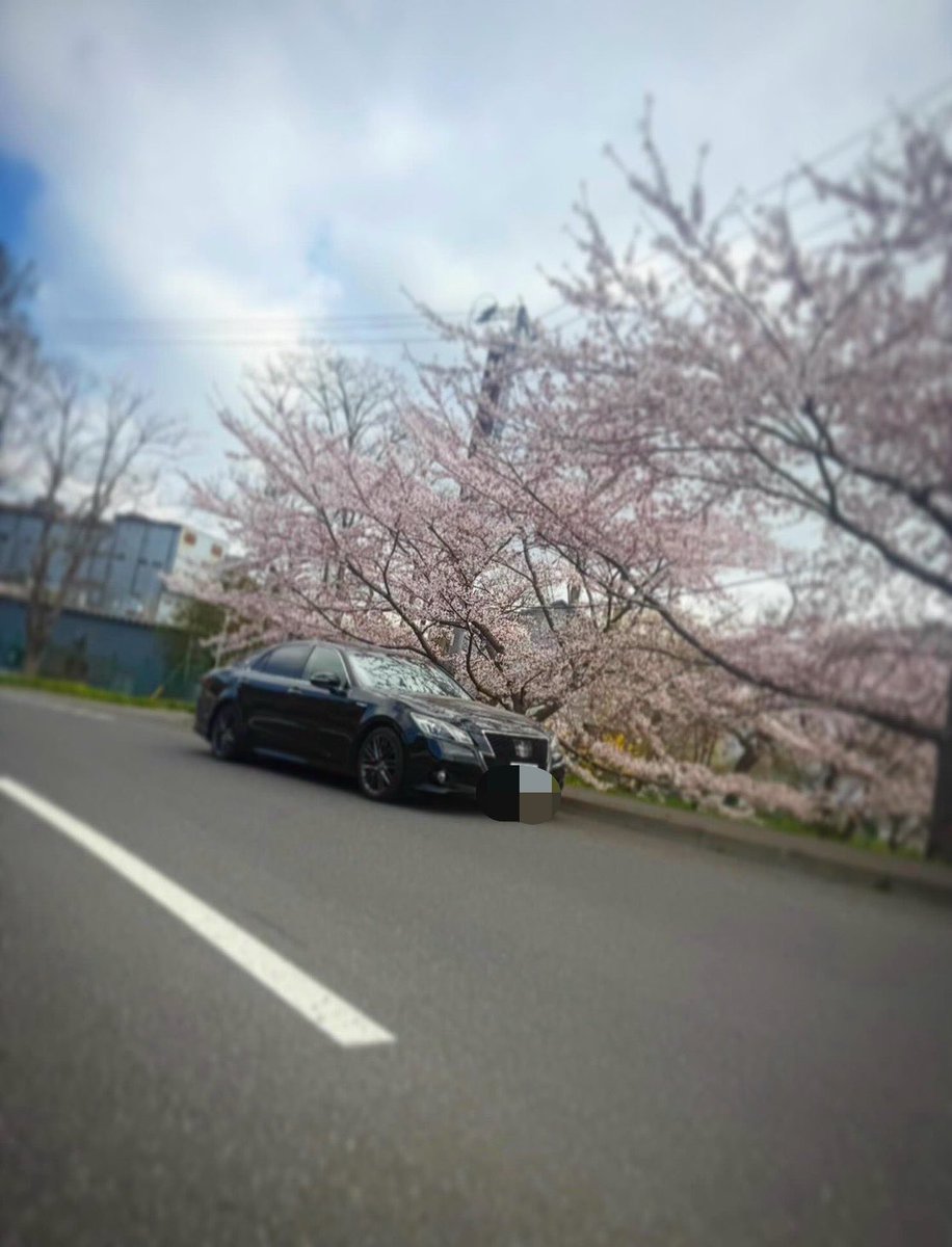 かっぺのほらいぞん tweet media