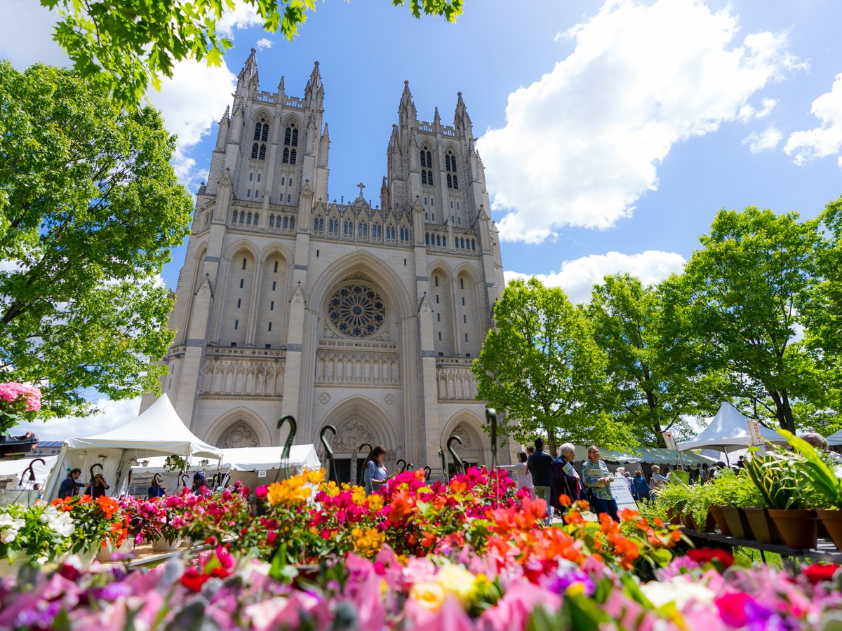 washingtondc's tweet image. What’s happening this weekend (5/1-5/3) in #WashingtonDC. ✨

🌸 Flower Mart at the @WNCathedral (5/1–5/2) FREE
🌐 Around the World Embassy Tours (5/2) FREE
🎶 Adams Morgan Porchfest @AdMoBID (5/2)  FREE

🔗: bit.ly/34afrAj

📸: @washingtondc #Only1DC #SpringinDC