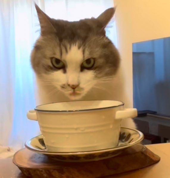 Miranda Richster tweet media