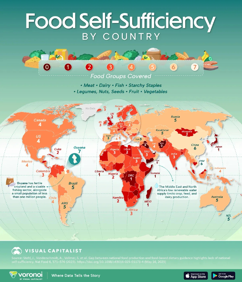 VisualCap's tweet photo. Mapped: Only One Country Can Feed Itself Fully 🌾

https://t.co/Ljv7gGCmOQ https://t.co/aR2PJng0BI