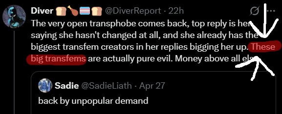 Diver 🍞🍗🏳️‍⚧️🍞 tweet media