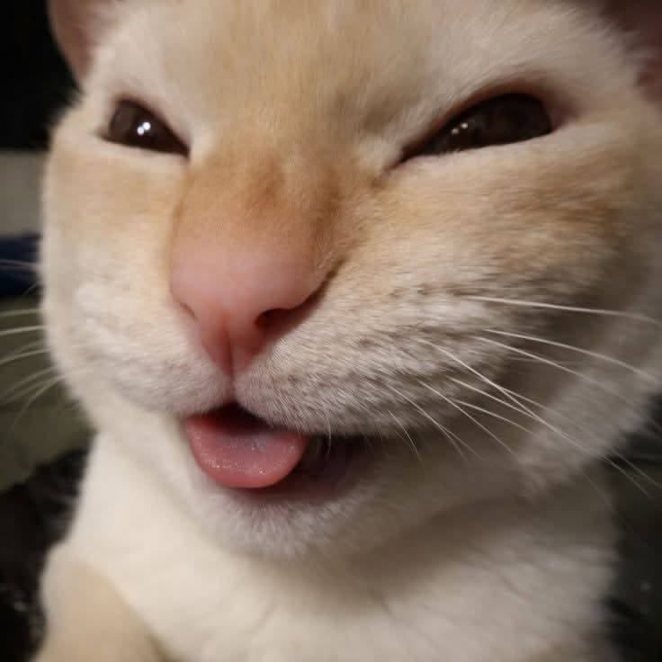 Miranda Richster tweet media