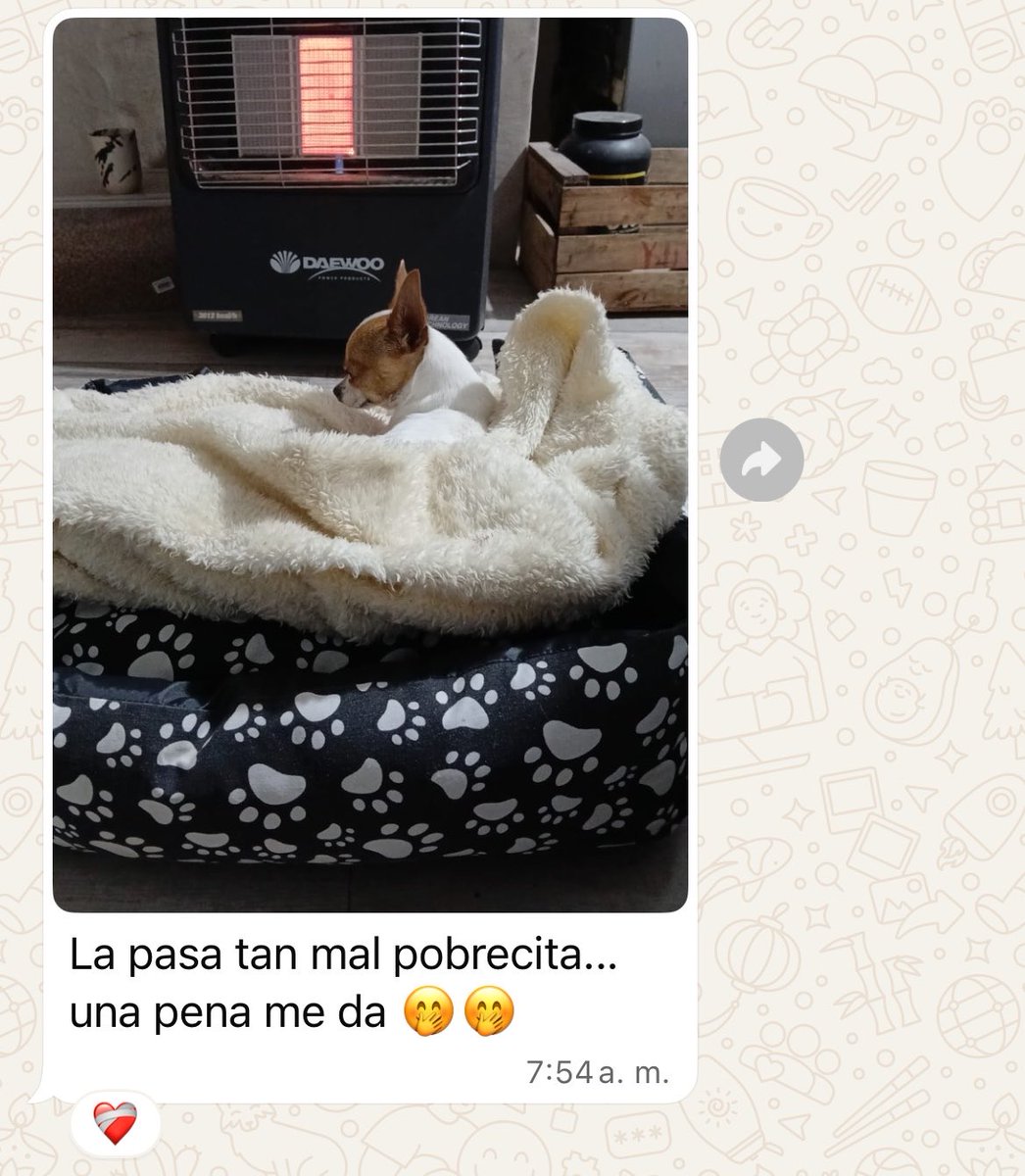 Mateo23450's tweet photo. Mientras ella está así: https://t.co/8ZUUiLgOsF