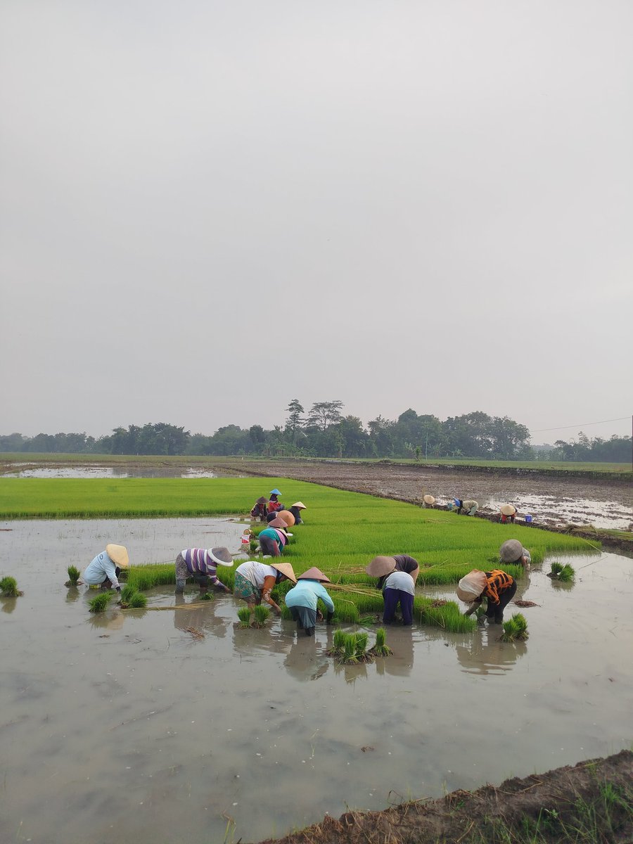 αƙʂα tweet media